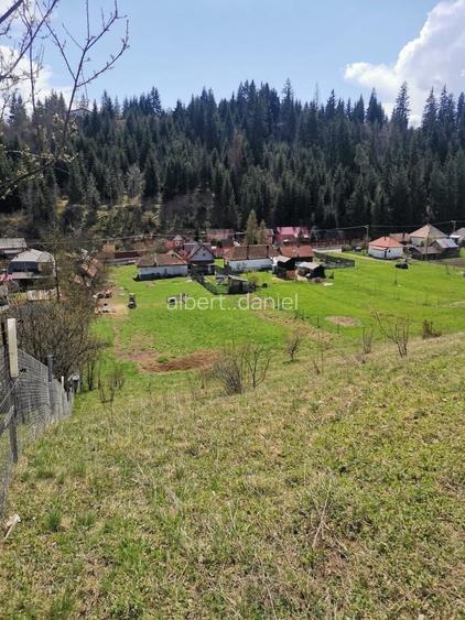 Teren Toplita 3000mp intravilan aproape de partie