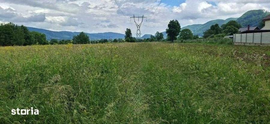 Teren de 2650 mp, în Vad