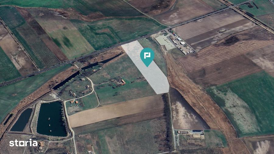 Teren de 50000 mp, în Sânnicolau Mic
