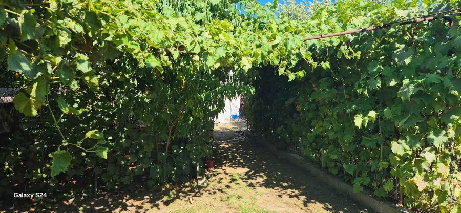 Casă cu 2 camere în Dorobanți 2