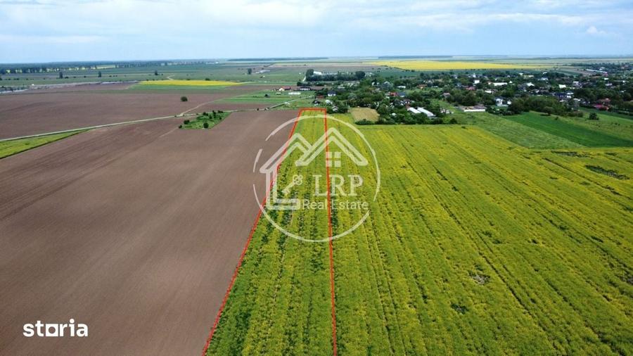 Teren de 15500 mp, în Dascălu