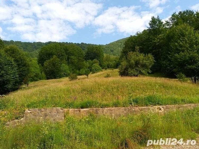 Teren de 4500 mp, în Sud