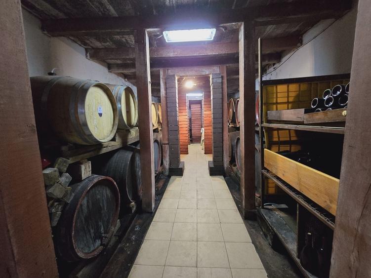 Teren agricol extravilan de 80000 mp, în Covăsinț
