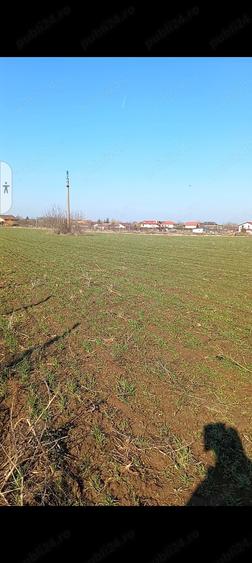 Teren de 2500 mp, în Ghermănești