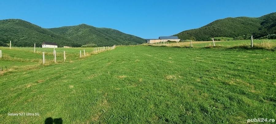Teren de 5000 mp, în Gura Râului