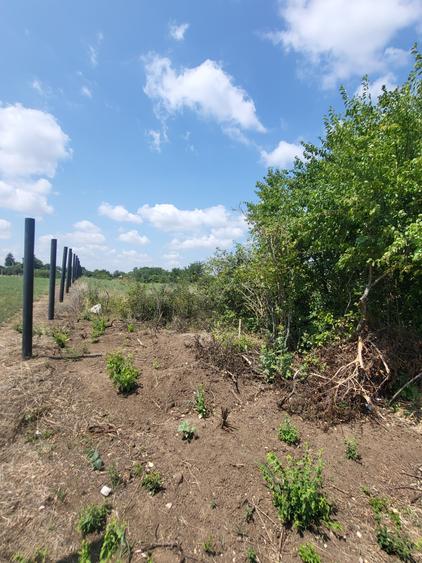 Teren Construcții intravilan de 2400 mp, în Călugăreni