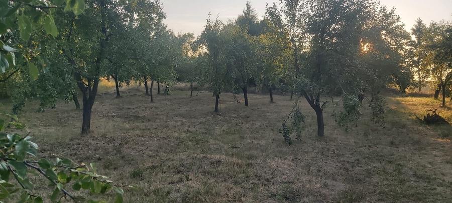 Spațiu comercial, în Cobia