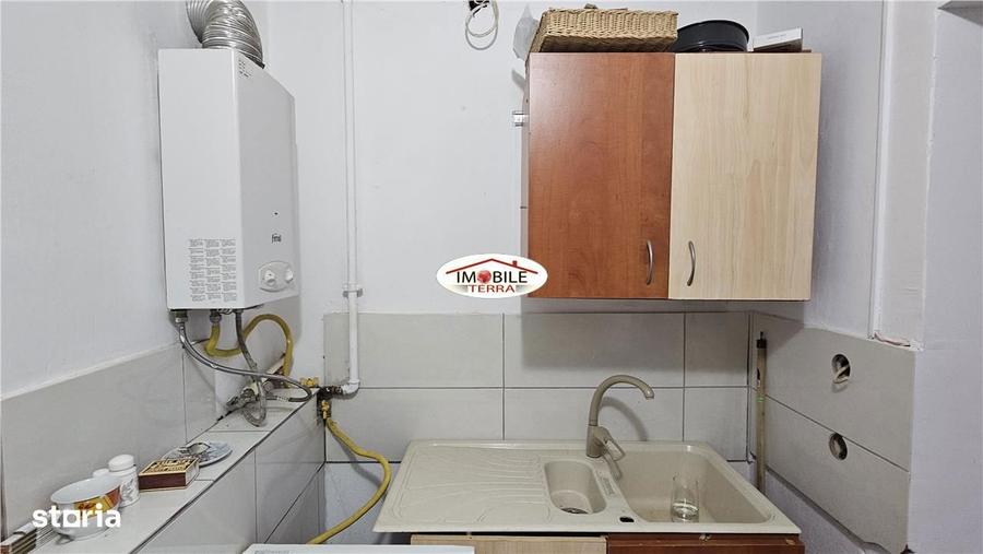 Casa cu garaj si gradina de inchiriat in Gusterita - 13