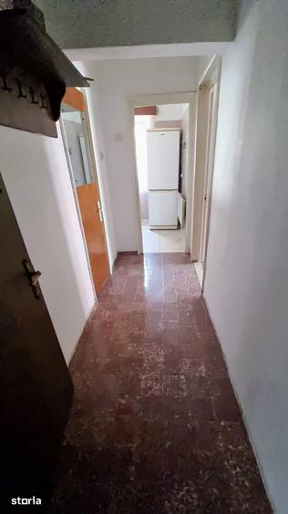 Teiul Doamnei, Parc Tei & Plumbuita, renovat, reabilitat, debara, 1% - 3