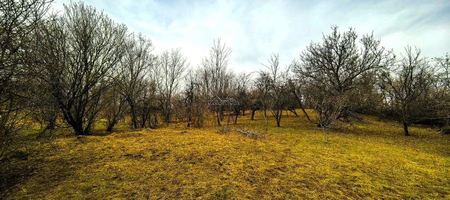 Teren agricol intravilan de 2623 mp, în Est