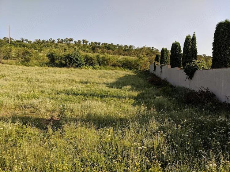 Teren de 10000 mp, în Central