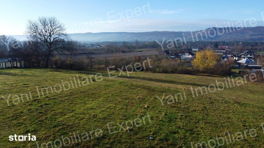 Teren de 4804 mp, în Băiculești