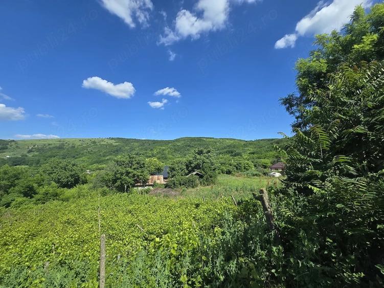 Casă cu Teren 14000 Mp în Bohotin