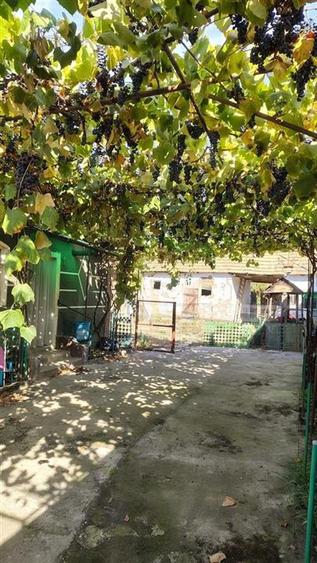 Casă cu 2 camere cu Teren 1597 Mp în Husasău de Tinca
