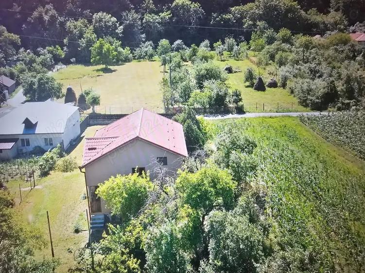 Vand casa vacanta la munte zona Herculane 165 000 - 8