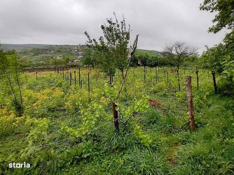 Vand casa cu gradina si anexe la 20 min de Iasi - 6