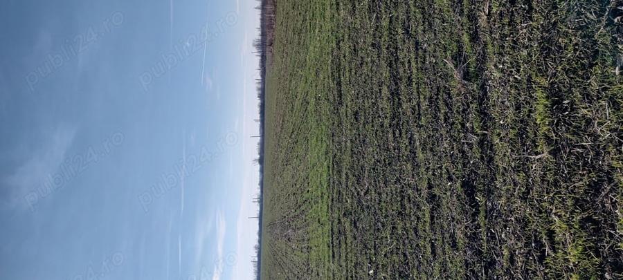 Teren de 700 mp, în Odăile