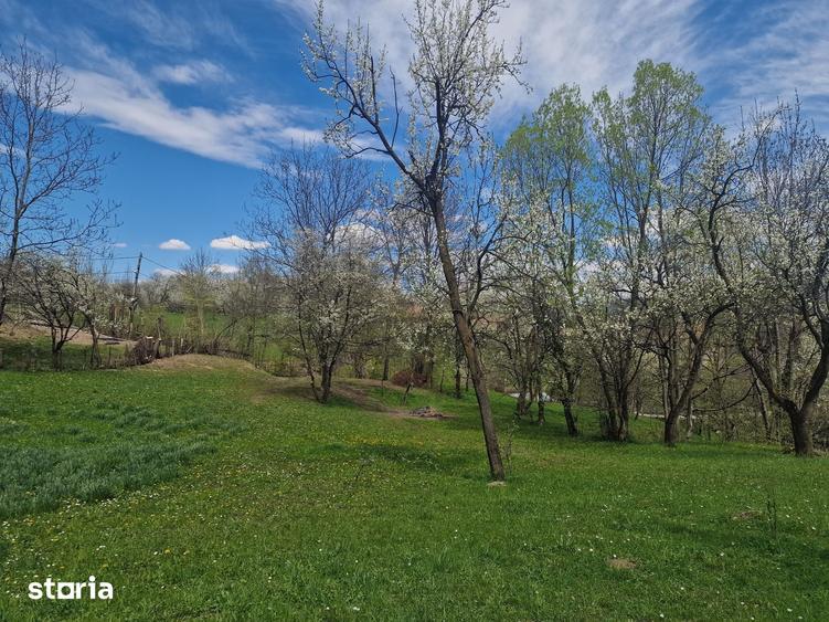 Teren de 12000 mp, în Ghioșești