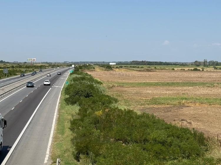 Teren agricol extravilan de 30000 mp, în Uliești