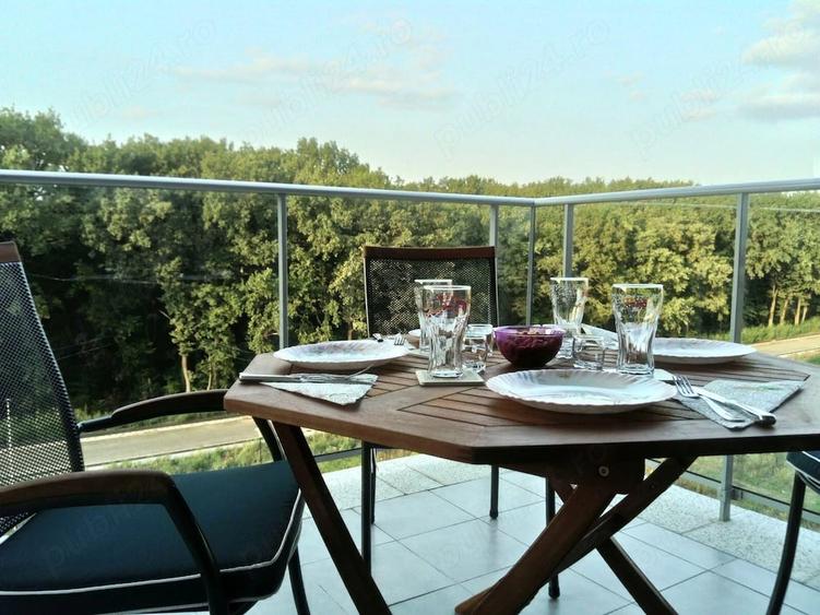 Apartament cu 2 camere semidecomandat în Lipovei