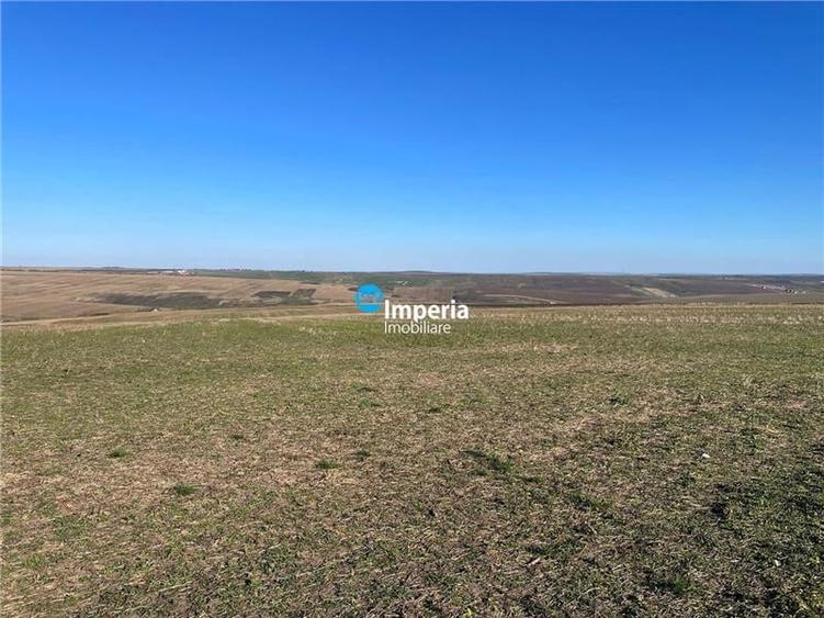 Teren agricol extravilan de 30000 mp, în Horlești (Rediu)