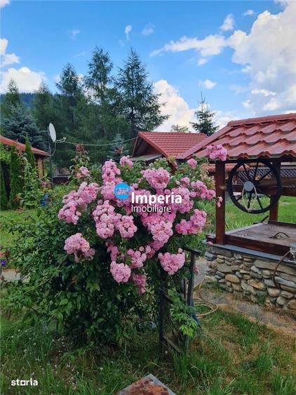 Campulung Moldovenesc, zona Cucoara | 4.544 mp teren | 2 casute locuib - 1
