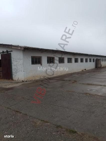 Ferma Zootehnica De Vanzare Zona Sibioara, Judetul Constanta