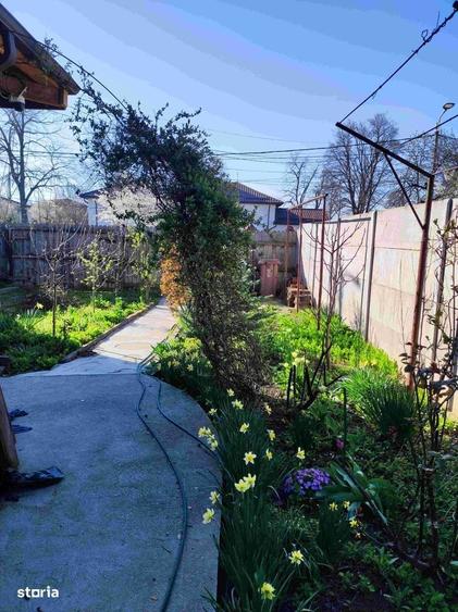 Casă cu 3 camere cu Teren 252 Mp în Bucureștii Noi