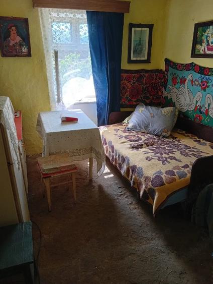 Casă cu 2 camere cu Teren 3000 Mp în Șoșdea