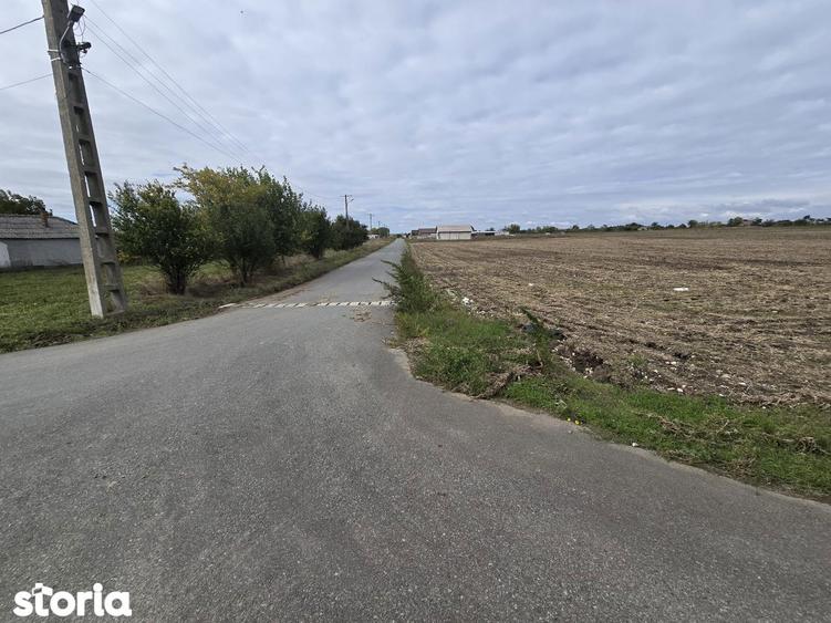 Comuna Amzacea- sat G.Scari?oreanu -Ferma zootehnica , teren 5,1ha - 8