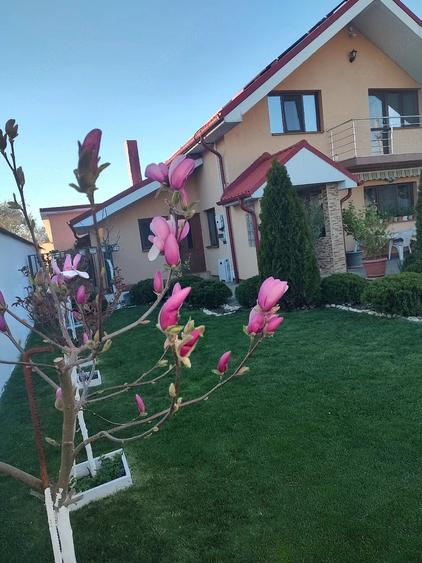 Casă cu 5 camere cu Teren 362 Mp în Malu Mare