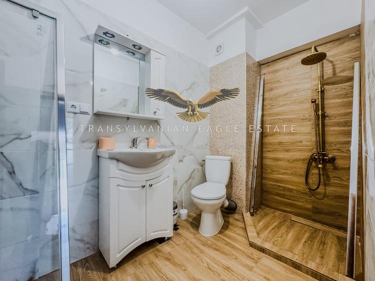 Apartament cu 2 camere semidecomandat, mobilat în Borhanci