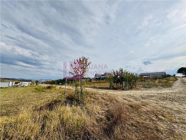 Teren agricol extravilan de 6000 mp, în Daia