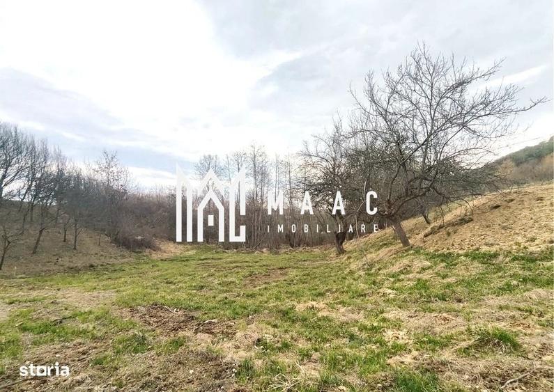 Spațiu comercial, în Sibiel