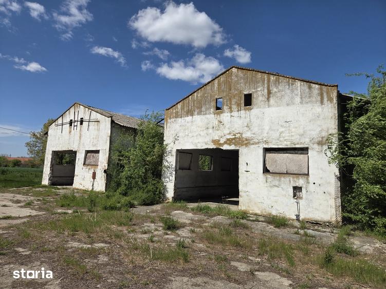 Spațiu comercial, de 3,200 mp, în Variaș