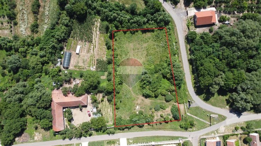 Teren Construcții intravilan de 2877 mp, în Pișchia