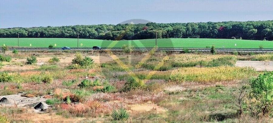 Teren Construcții intravilan de 91000 mp, în Snagov