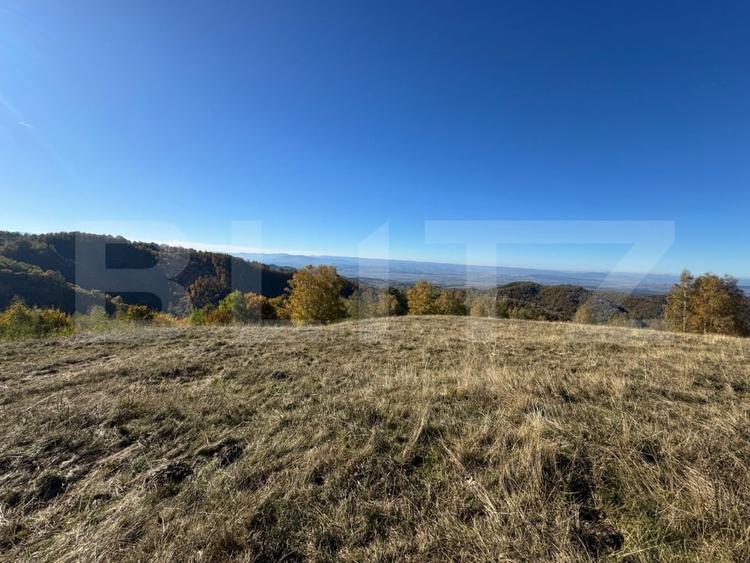 Teren agricol extravilan de 54722 mp, în Orăștie