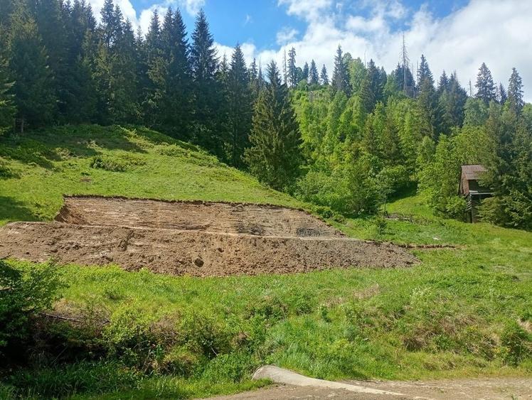Teren de 3100 mp, în Muntele Băișorii