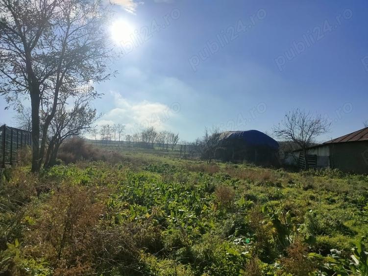 Teren de 2000 mp, în Topolog