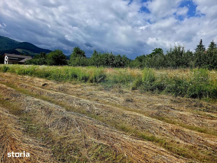 Teren de 600 mp, în Alexandru cel Bun