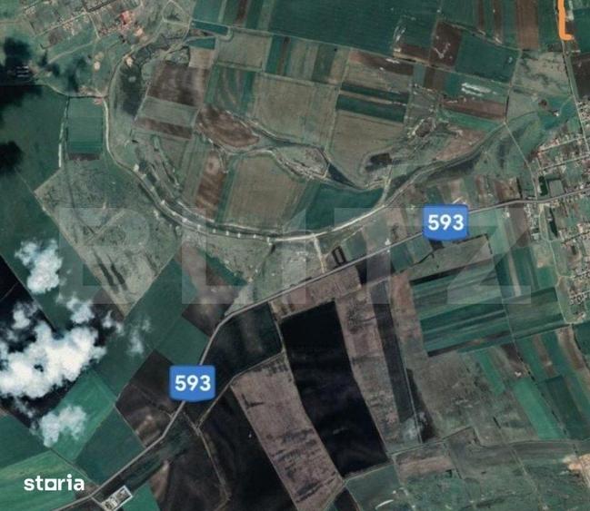 Teren de 250000 mp, în Giulvăz