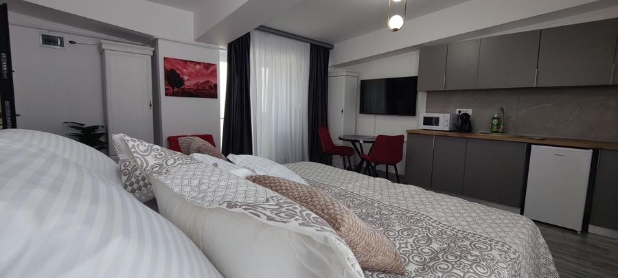 Studio modern, 35 mp | Strada Samuil Vulcan - 6