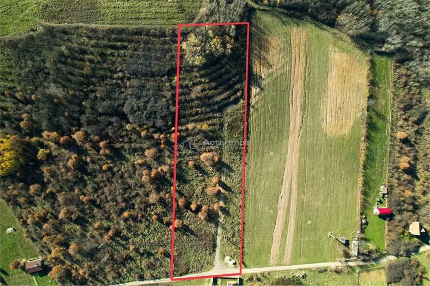 Teren de 7744 mp, în Cordău