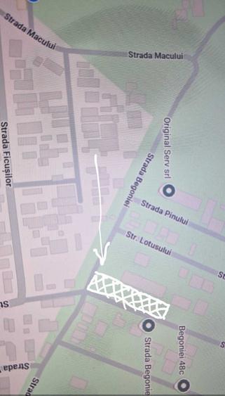 Teren de 2500 mp, în Cazasu