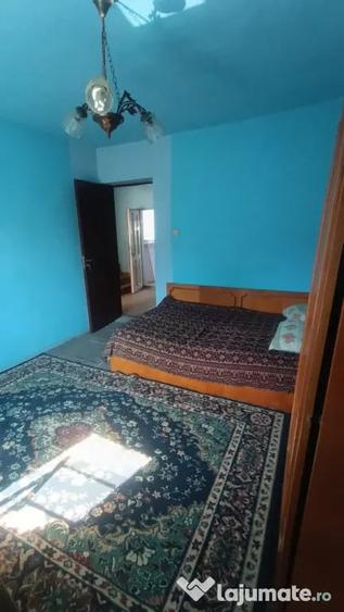 Casa P+1, 186 mp utili, 339 mp teren, zona Brestei - 12