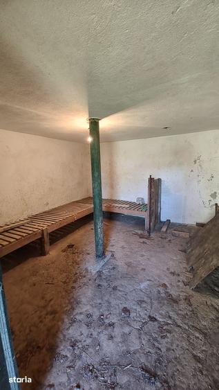 De vanzare casa in satul Carpinis - 17