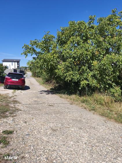 Teren intre case pe Valea Chintaului - 2