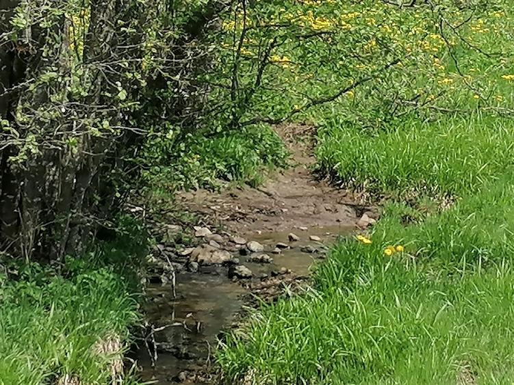 Teren de 45000 mp, în Ortoaia