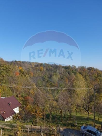 Teren Construcții intravilan de 4972 mp, în Bertea